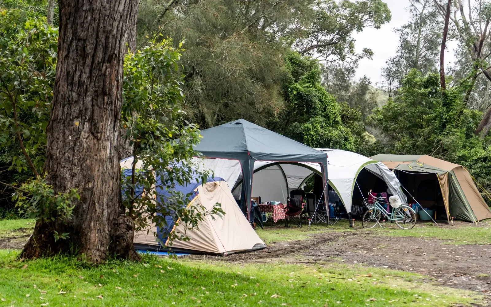 fitzroy falls accommodation